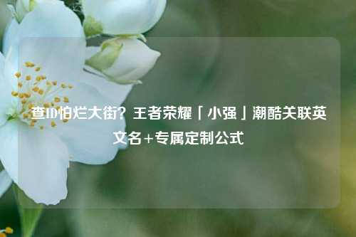 查ID怕烂大街？王者荣耀「小强」潮酷关联英文名+专属定制公式