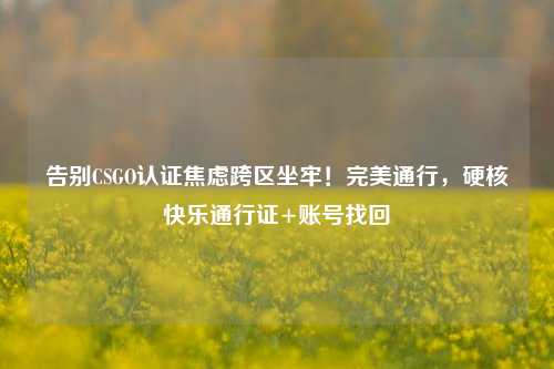 告别CSGO认证焦虑跨区坐牢！完美通行，硬核快乐通行证+账号找回
