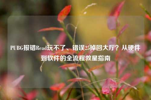 PUBG报错Read玩不了、错误25掉回大厅？从硬件到软件的全流程救星指南