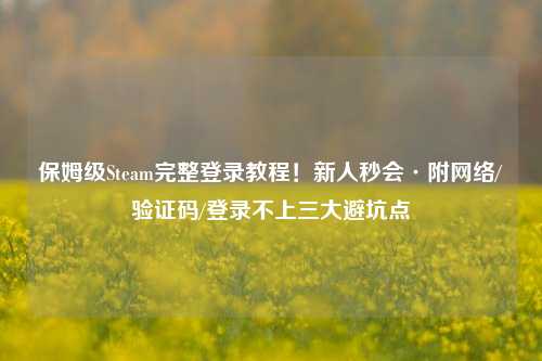 保姆级Steam完整登录教程！新人秒会·附网络/验证码/登录不上三大避坑点