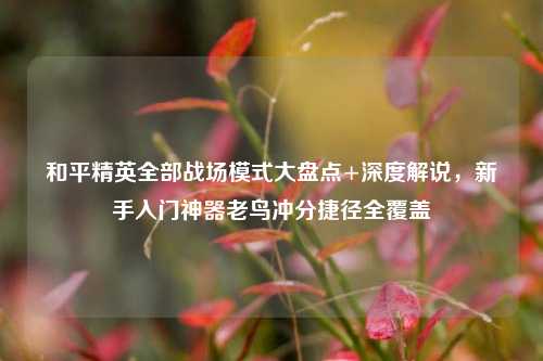 和平精英全部战场模式大盘点+深度解说，新手入门神器老鸟冲分捷径全覆盖