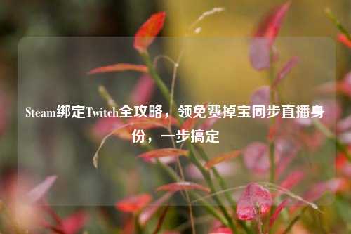 Steam绑定Twitch全攻略，领免费掉宝同步直播身份，一步搞定
