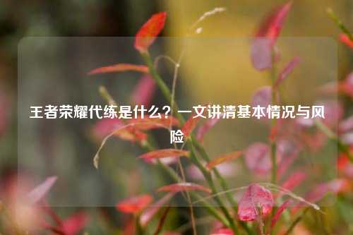 王者荣耀代练是什么？一文讲清基本情况与风险
