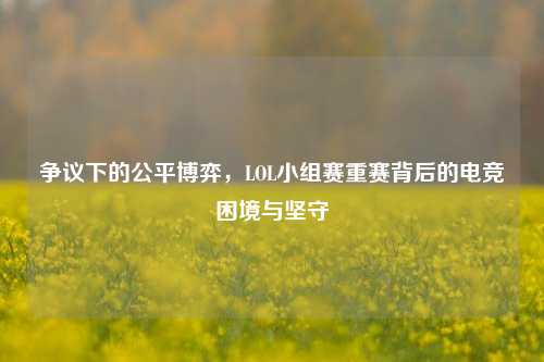 争议下的公平博弈，LOL小组赛重赛背后的电竞困境与坚守