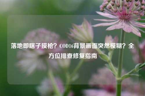 落地即瞎子摸枪？COD16背景画面突然模糊？全方位排查修复指南