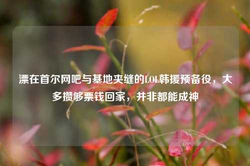 漂在首尔网吧与基地夹缝的LOL韩援预备役，大多攒够票钱回家，并非都能成神