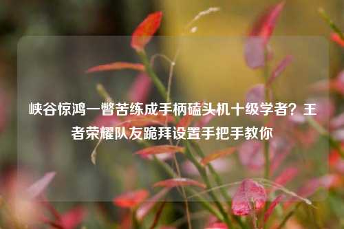 峡谷惊鸿一瞥苦练成手柄磕头机十级学者？王者荣耀队友跪拜设置手把手教你