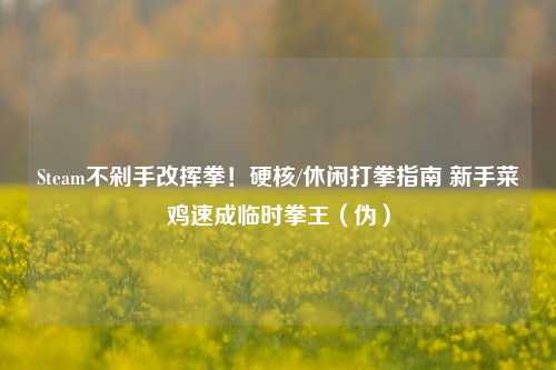 Steam不剁手改挥拳！硬核/休闲打拳指南 新手菜鸡速成临时拳王（伪）
