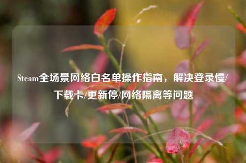 Steam全场景网络白名单操作指南，解决登录慢/下载卡/更新停/网络隔离等问题