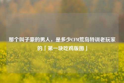 那个叫子豪的男人，是多少CFM荒岛特训老玩家的「第一块吃鸡版图」