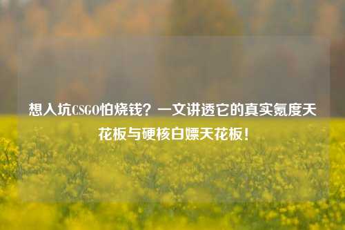 想入坑CSGO怕烧钱？一文讲透它的真实氪度天花板与硬核白嫖天花板！