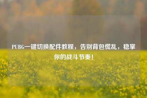 PUBG一键切换配件教程，告别背包慌乱，稳掌你的战斗节奏！