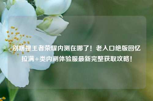 别瞎搜王者荣耀内测在哪了！老入口绝版回忆拉满+类内测体验服最新完整获取攻略！
