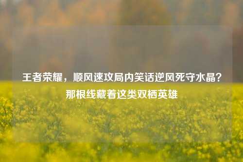王者荣耀，顺风速攻局内笑话逆风死守水晶？那根线藏着这类双栖英雄