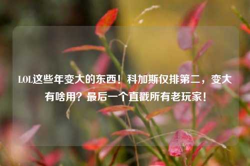 LOL这些年变大的东西！科加斯仅排第二，变大有啥用？最后一个直戳所有老玩家！