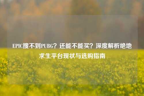 EPIC搜不到PUBG？还能不能买？深度解析绝地求生平台现状与选购指南