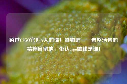 蹲过CSGO官匹A大的懂！蛐蛐吧——老整活狗的精神自留地，带认csgo蛐蛐是谁！