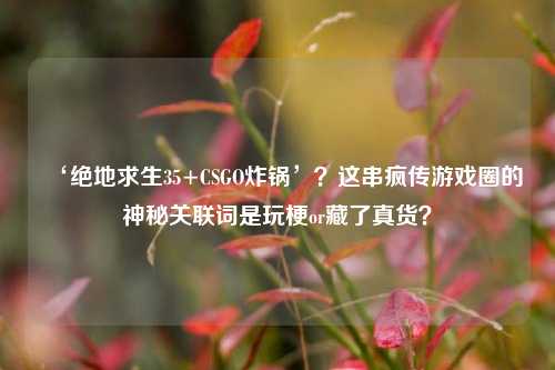 ‘绝地求生35+CSGO炸锅’？这串疯传游戏圈的神秘关联词是玩梗or藏了真货？