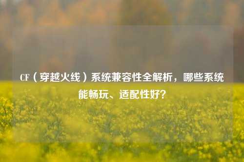 CF(穿越火线)系统兼容性全解析,哪些系统能畅玩、适配性好?