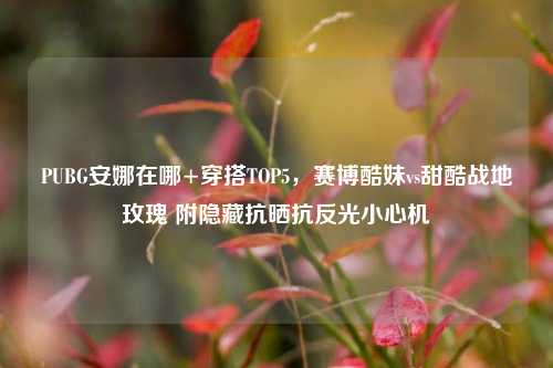 PUBG安娜在哪+穿搭TOP5,赛博酷妹vs甜酷战地玫瑰 附隐藏抗晒抗反光小心机