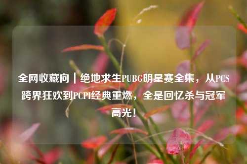全网收藏向｜绝地求生PUBG明星赛全集，从PCS跨界狂欢到PCPI经典重燃，全是回忆杀与冠军高光！