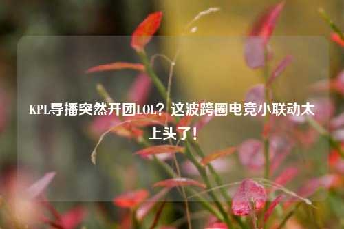 KPL导播突然开团LOL?这波跨圈电竞小联动太上头了!