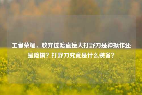 王者荣耀，放弃过渡直接大打野刀是神操作还是险棋？打野刀究竟是什么装备？