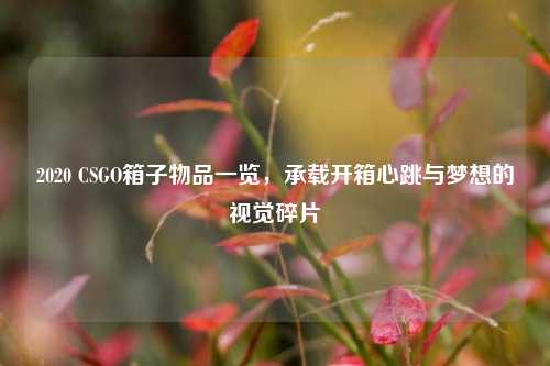 2020 CSGO箱子物品一览,承载开箱心跳与梦想的视觉碎片