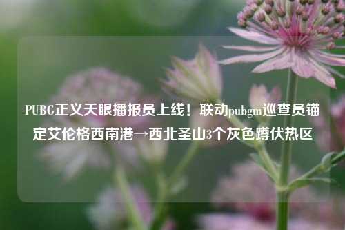 PUBG正义天眼播报员上线！联动pubgm巡查员锚定艾伦格西南港→西北圣山3个灰色蹲伏热区