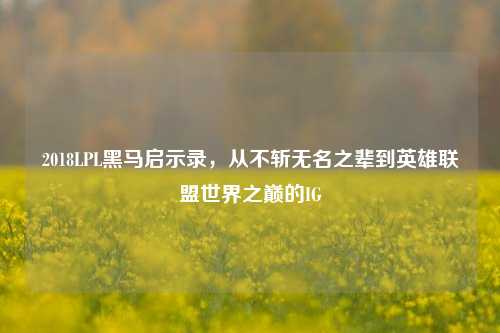 2018LPL黑马启示录,从不斩无名之辈到英雄联盟世界之巅的IG