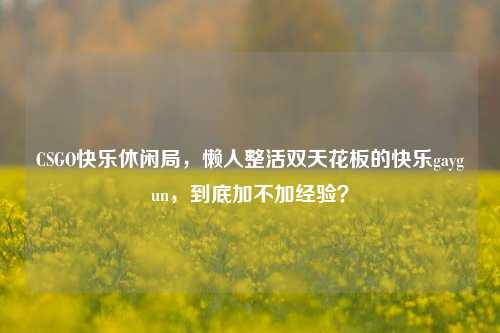 CSGO快乐休闲局，懒人整活双天花板的快乐gaygun，到底加不加经验？