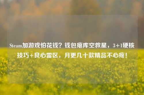 Steam加游戏怕花钱？钱包瘪库空救星，3+1硬核技巧+良心雷区，月更几十款精品不心疼！