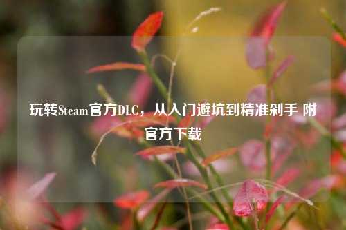 玩转Steam官方DLC,从入门避坑到精准剁手 附官方下载