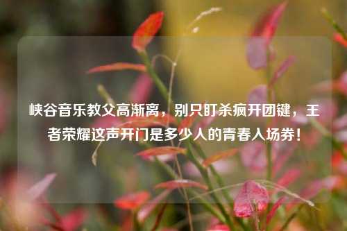 峡谷音乐教父高渐离,别只盯杀疯开团键,王者荣耀这声开门是多少人的青春入场券!