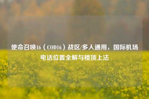 使命召唤16(COD16)战区/多人通用,国际机场电话位置全解与楼顶上法