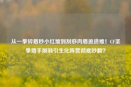 从一拳碎盾秒小红堆到刮痧肉盾追逃难!CF圣拳猎手削弱引生化阵营彻底吵翻?