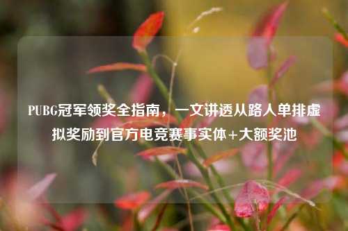 PUBG冠军领奖全指南,一文讲透从路人单排虚拟奖励到官方电竞赛事实体+大额奖池