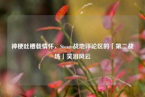 神梗吐槽载情怀,Steam战地评论区的「第二战场」笑泪风云