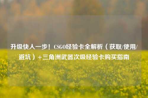 升级快人一步!CSGO经验卡全解析(获取/使用/避坑)+三角洲武器次级经验卡购买指南