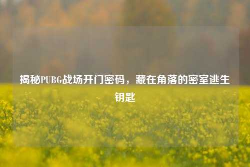 揭秘PUBG战场开门密码,藏在角落的密室逃生钥匙