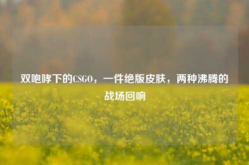 双咆哮下的CSGO，一件绝版皮肤，两种沸腾的战场回响