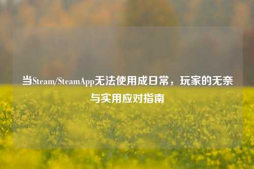 当Steam/SteamApp无法使用成日常,玩家的无奈与实用应对指南