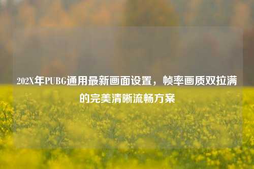 202X年PUBG通用最新画面设置，帧率画质双拉满的完美清晰流畅方案