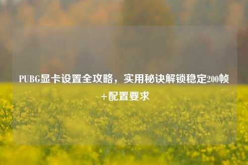 PUBG显卡设置全攻略,实用秘诀解锁稳定200帧+配置要求