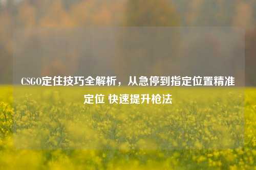 CSGO定住技巧全解析，从急停到指定位置精准定位 快速提升枪法
