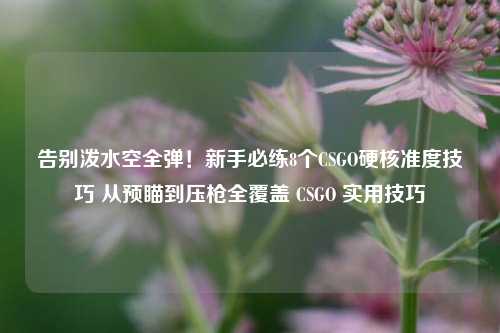 告别泼水空全弹!新手必练8个CSGO硬核准度技巧 从预瞄到压枪全覆盖 CSGO 实用技巧