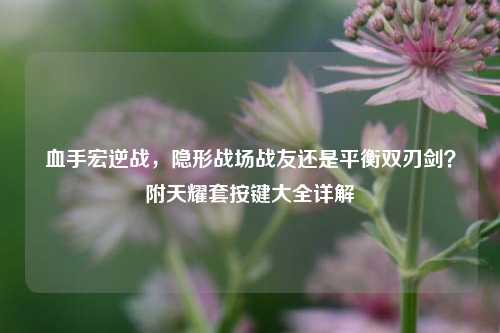 血手宏逆战，隐形战场战友还是平衡双刃剑？附天耀套按键大全详解