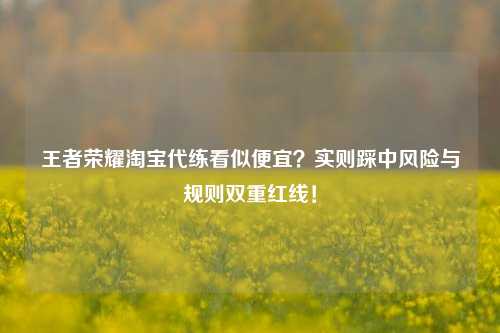 王者荣耀淘宝代练看似便宜?实则踩中风险与规则双重红线!