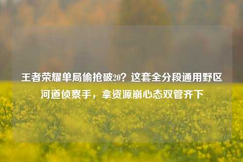 王者荣耀单局偷抢破20？这套全分段通用野区河道侦察手，拿资源崩心态双管齐下