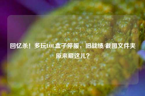回忆杀！多玩LOL盒子停服，旧战绩/截图文件夹原来藏这儿？